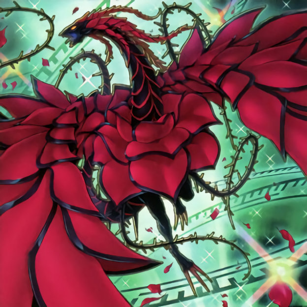 Pure Black Rose Dragon Deck 2024 YuGiOh! Dueling Nexus